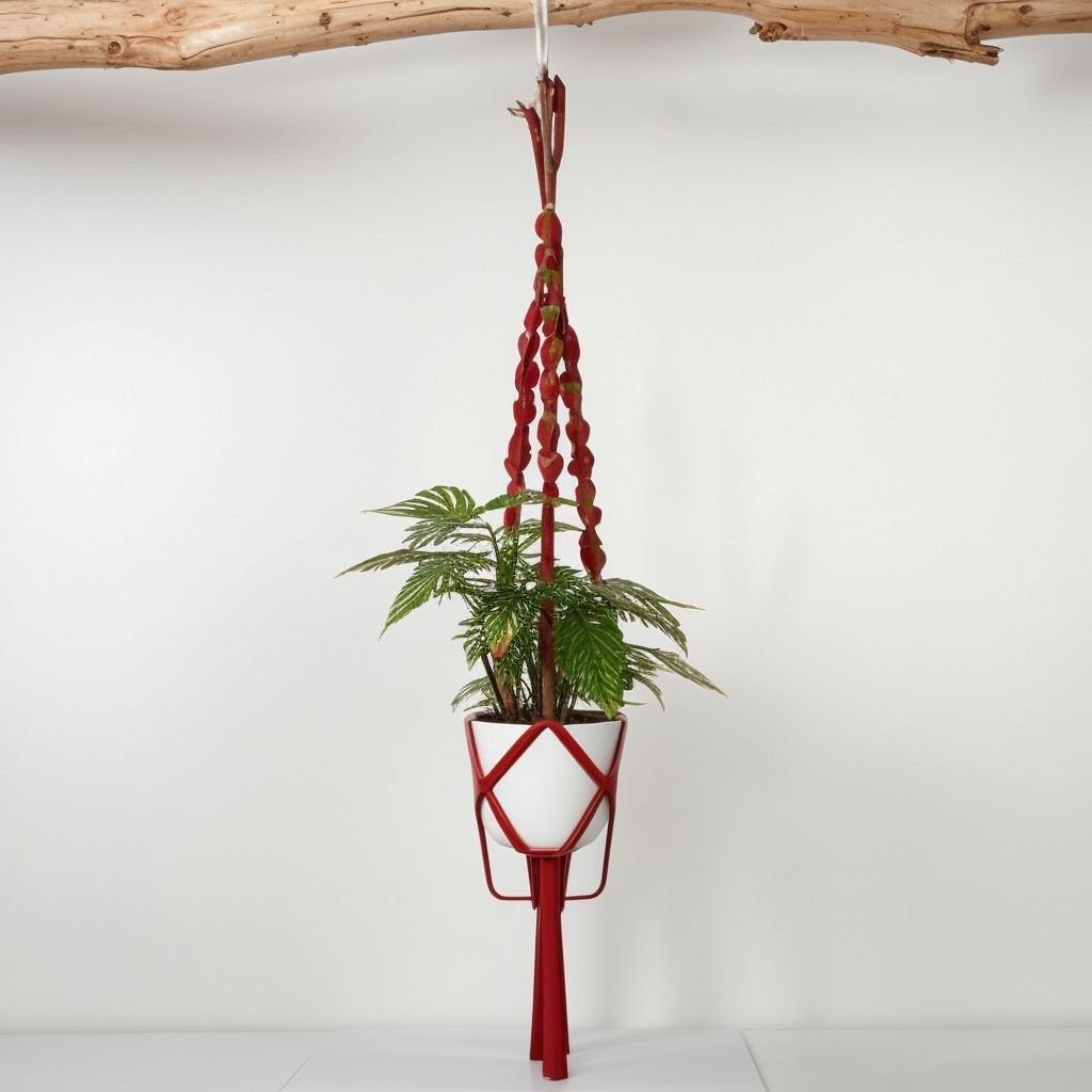 Biała wisząca doniczka makrama