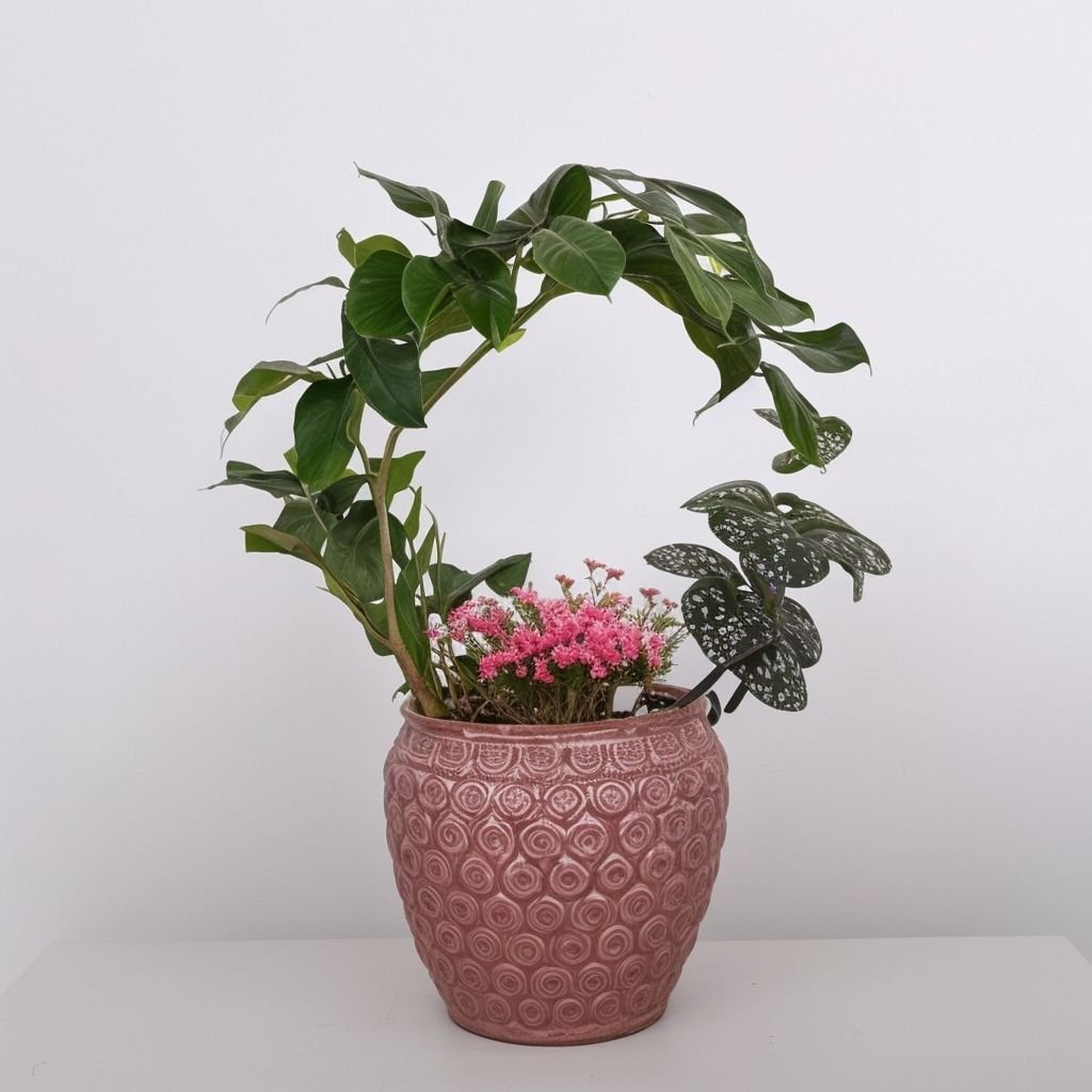 Kompozycja w doniczce "Bluszcz w zimowych dekoracjach"