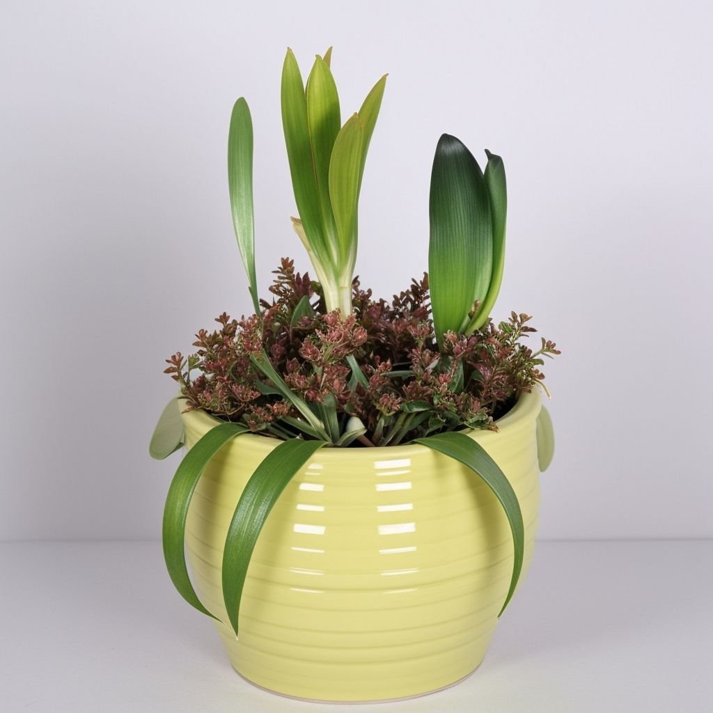 Kwiaty sezonowe w doniczkach