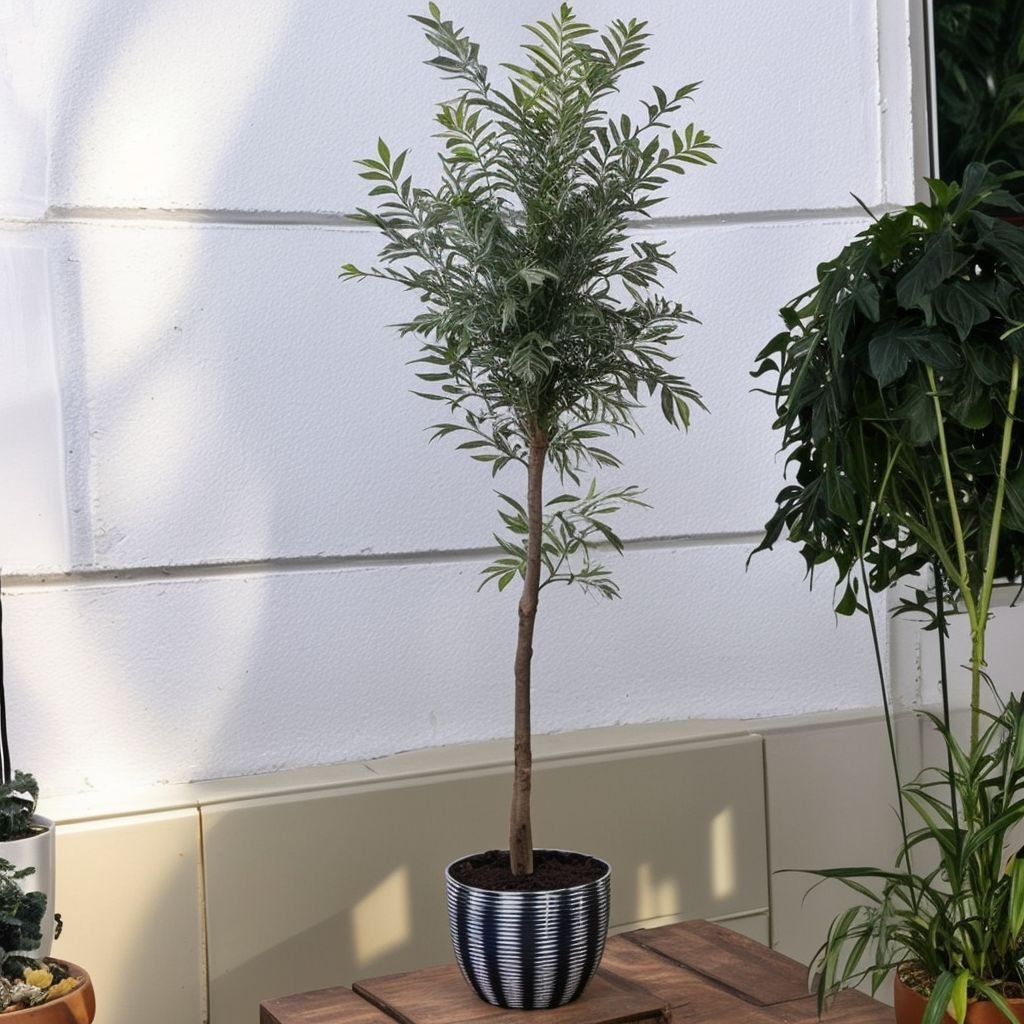 Oliwa z oliwek w garnku